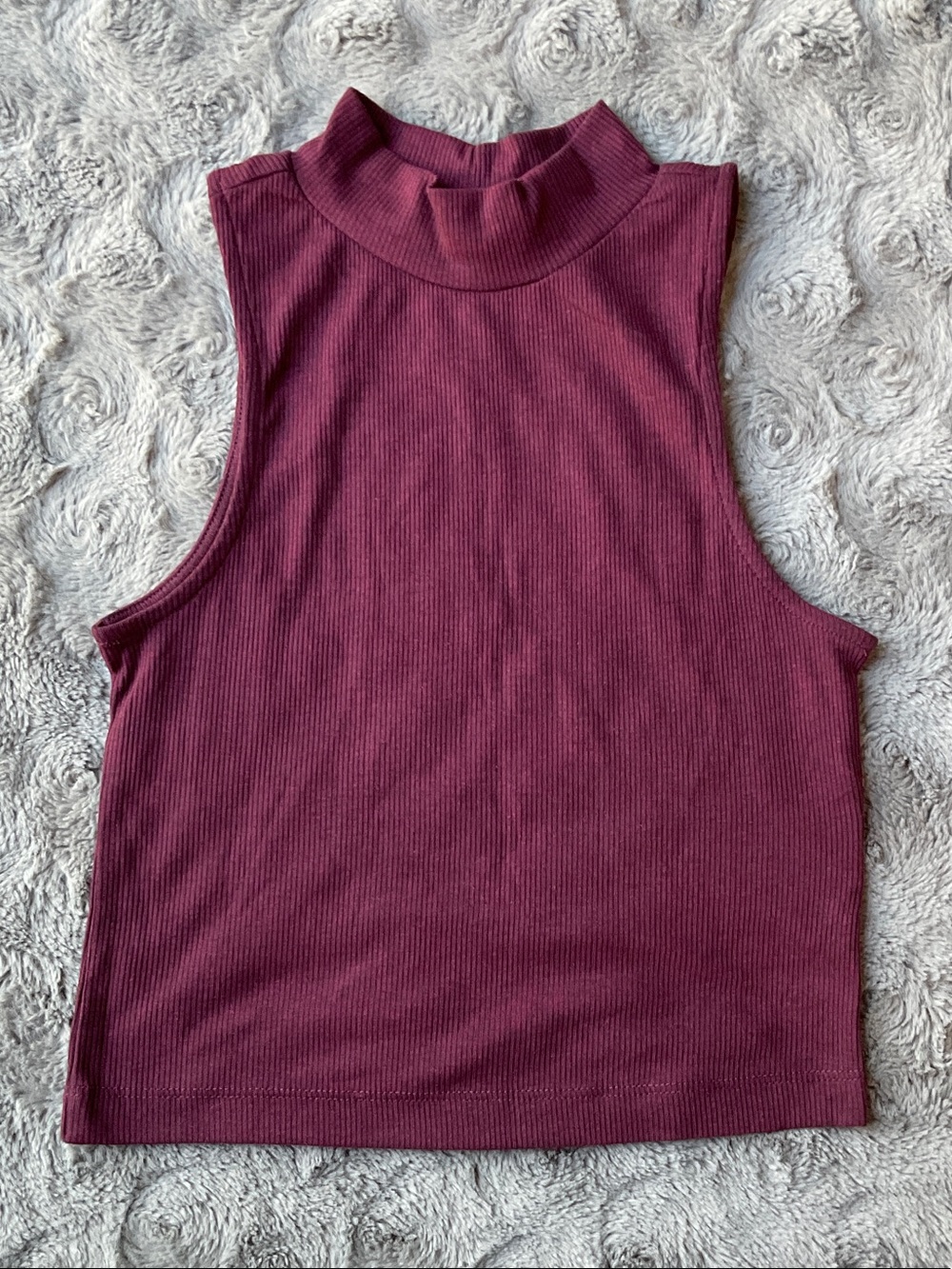 Divided Burgundy Ribbed Mock Neck Crop Top